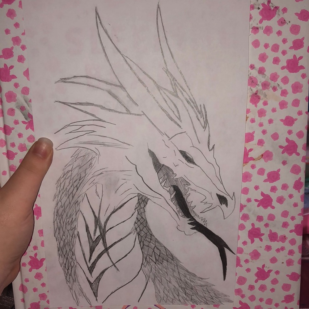 Dragon Sketch